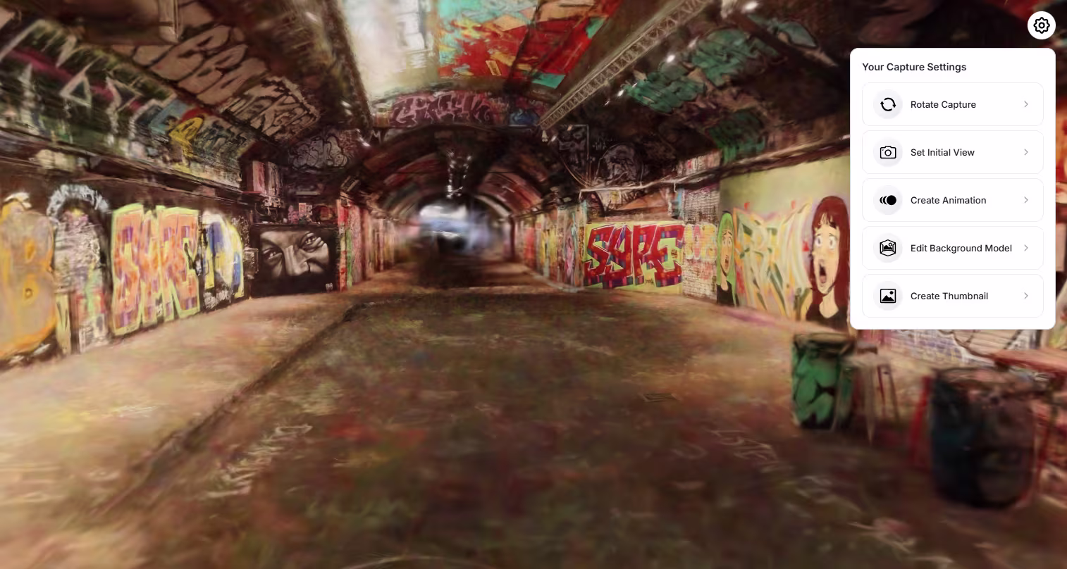 Capture settings panel in the viewer